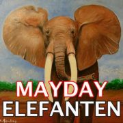 (c) Mayday-elefanten.de