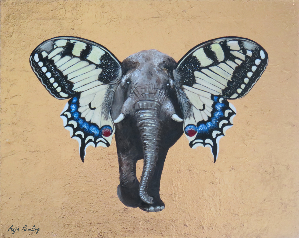 Symbios Elefant Schmetterling